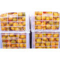 Fresh baby mandarinas naranjas hotsale